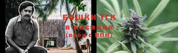 ешки Инсар