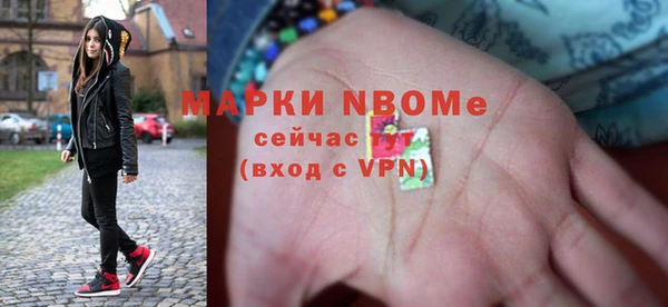 индика Инта