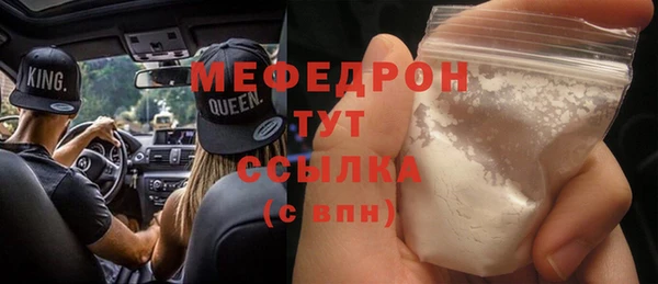 индика Инта