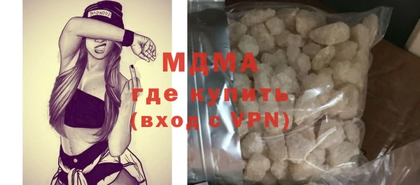 индика Инта