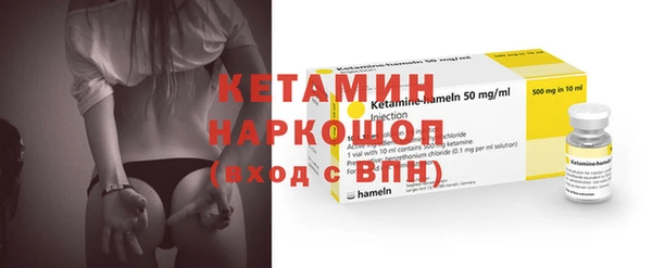 индика Инта