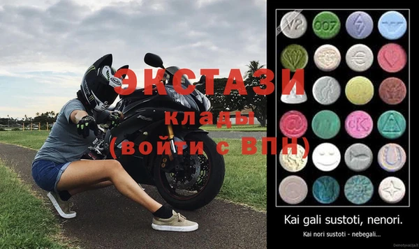 индика Инта