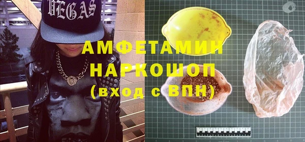 индика Инта