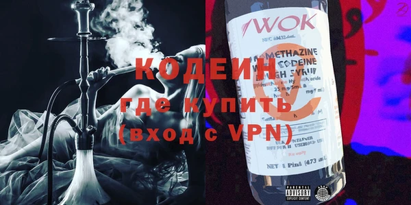 индика Инта