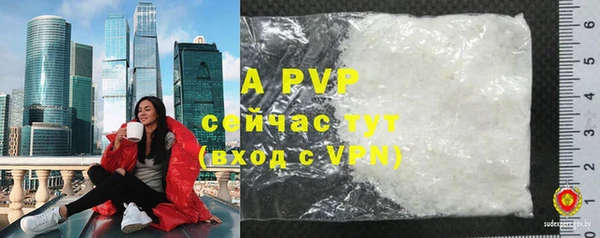 индика Инта
