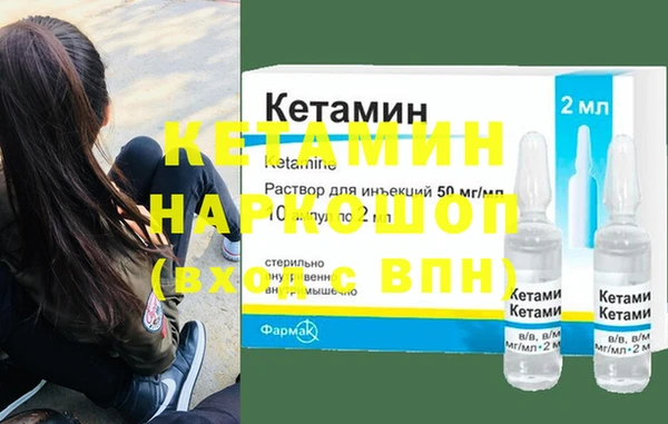 индика Инта