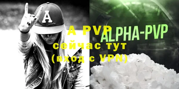 индика Инта