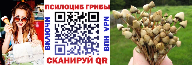 Псилоцибиновые грибы Cubensis Купить где Ревда